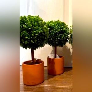 2 Mini trees approximately 9” & 10”,